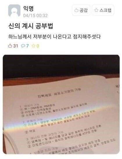 돈 내는 곳이 없어요