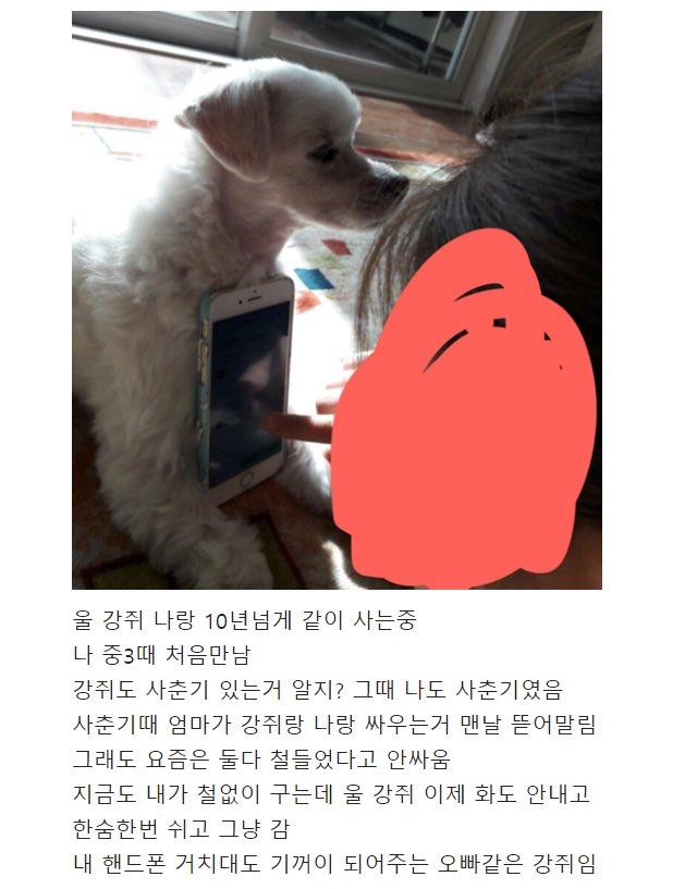 애기입맛으로 해드릴까요?