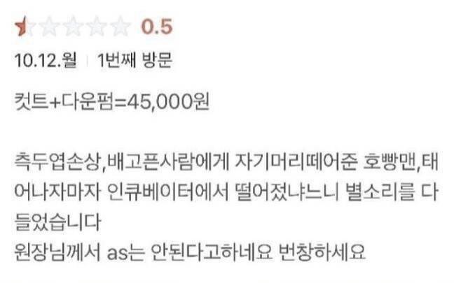 1 대면강의 새내기 참사 2 미용실 리뷰