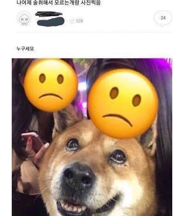 🤣