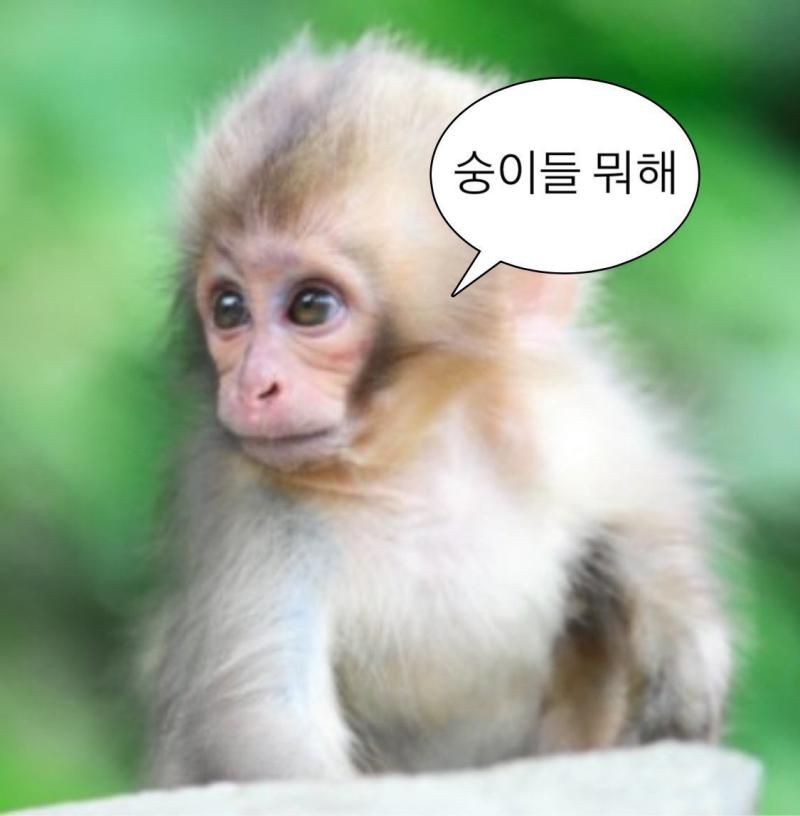 >>141 아 ㅁㅊㅋㅋㅋ 있는지도 몰랐었다...