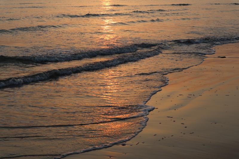 마자 바다 사진입니당. 뭔 황토색밖에 없다구요? 봄이라 미세먼지가 가득한지 하늘이 뿌얘서 슬펐음........