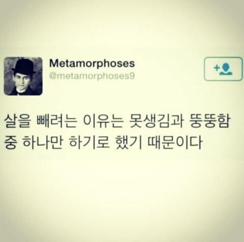하나만 하기로 했다