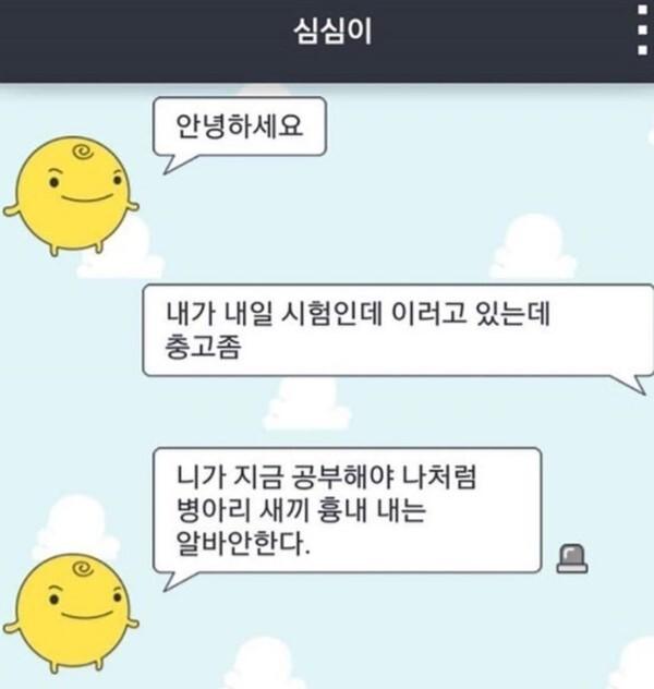 심심이의 인생 충고