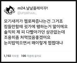 김지호도