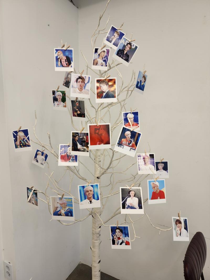 생일카페 사진 진짜 예쁜 거 너무 많아ㅠㅠㅠㅠㅠ
