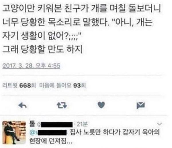 심심이의 인생 충고