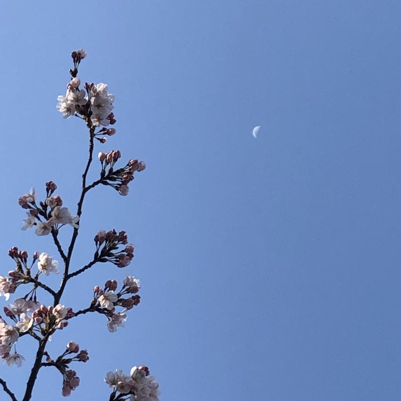사랑해줘