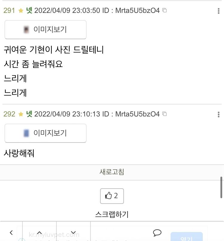 어? 왜 안 접히지