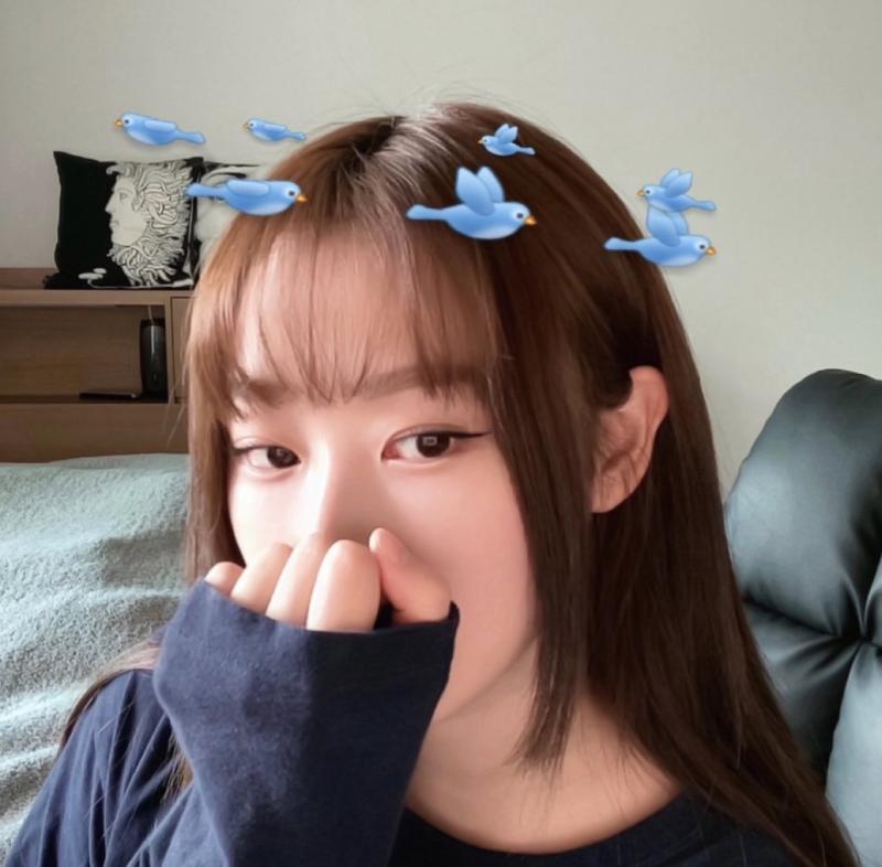 >>187 >>188 오 맞는거같애 지젤은 히메컷 한적이 있나 싶어서 긴가민가했는데 검색해보니까 있네!