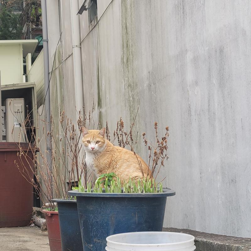 >>562 히히 귀얌둥 고영은 두번 봐야지!! 전에 찍은 사진두 총총..🐸❣️