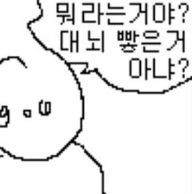 뭐라는 거야?