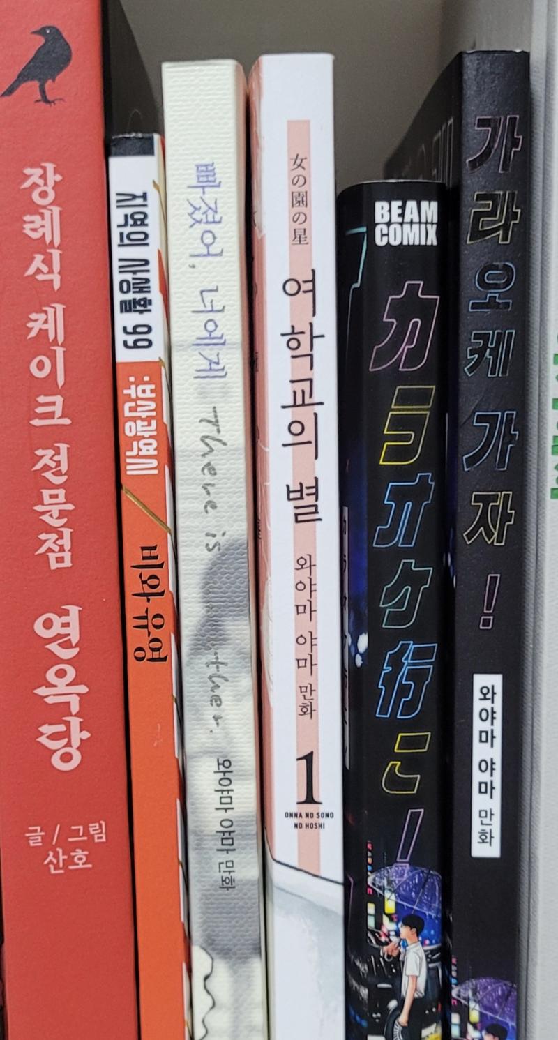 내가 산 책이 꽂힌 책장의 칸은 총 4칸인데 그중 한 칸만 보여줘도 내가 어떤 작가를 좋아하는지 알 수 있을 듯 한강 작가님의 책은 다 사 읽은