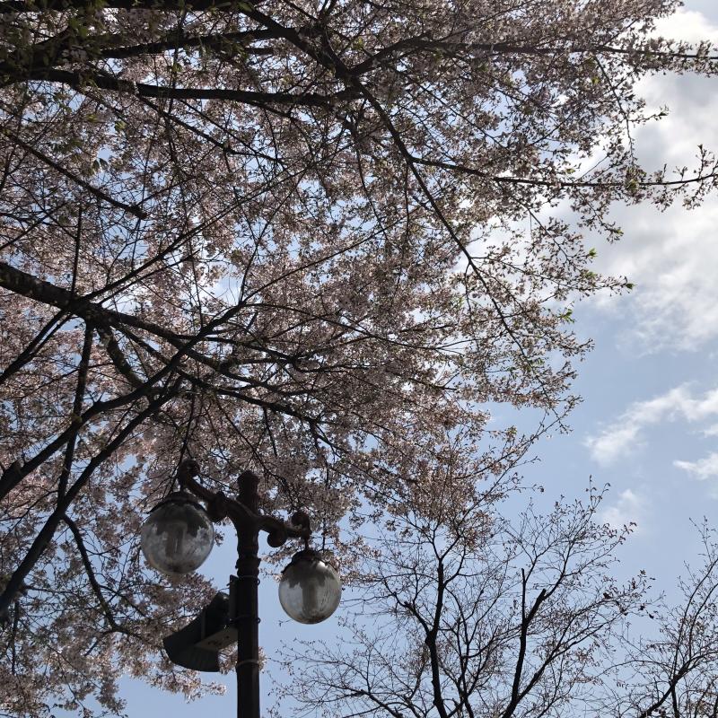 사랑이란?