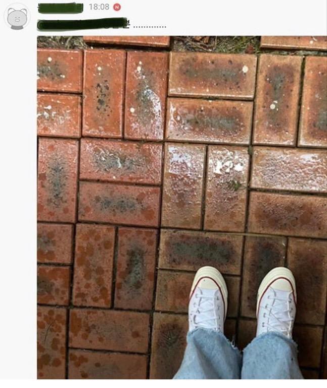 컨퍼스 이렇게 신는 거 맞아?