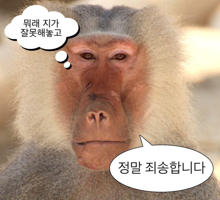 레스들 개웃겨 나도 풀고감
