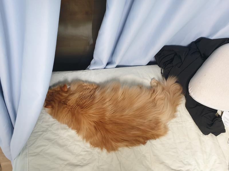 짠 인증샷 무너진 집중력이 돌아오질 않네 힘내서 마저 해볼게요 +) 짠 한 장 더