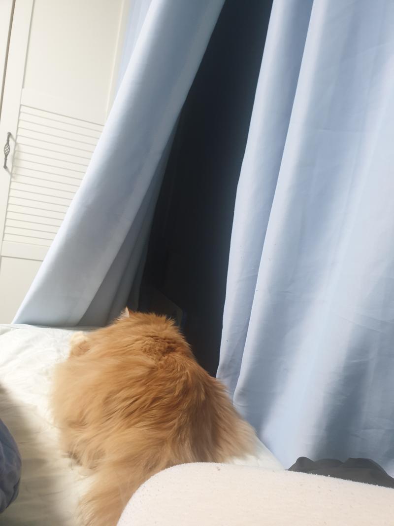 짠 인증샷 무너진 집중력이 돌아오질 않네 힘내서 마저 해볼게요 +) 짠 한 장 더