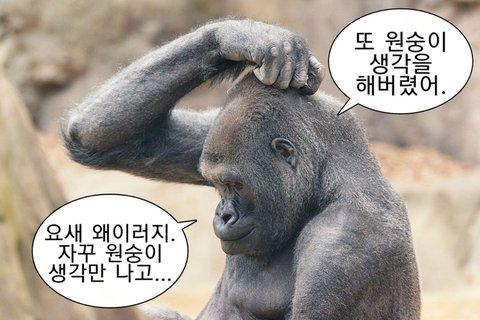 레스들 개웃겨 나도 풀고감