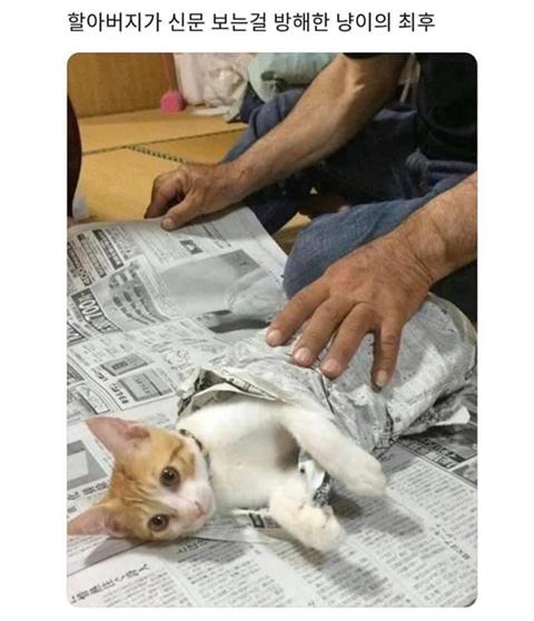 예끼