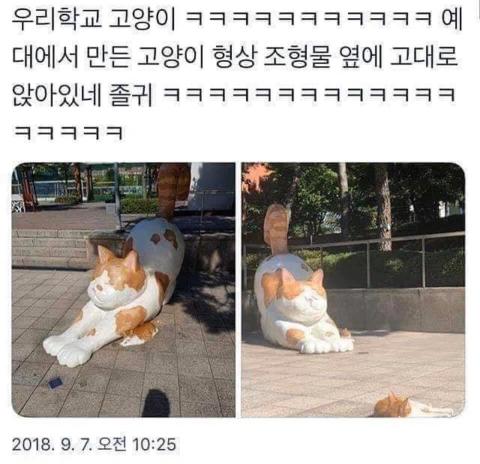 예끼