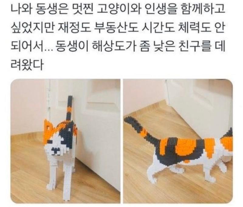 해상도 낮은 친구