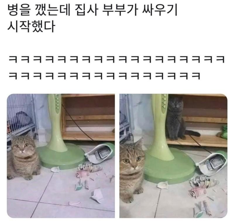 동물짤2개