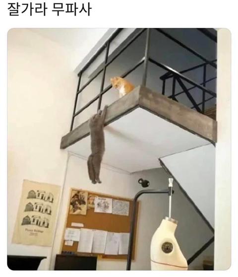 예끼