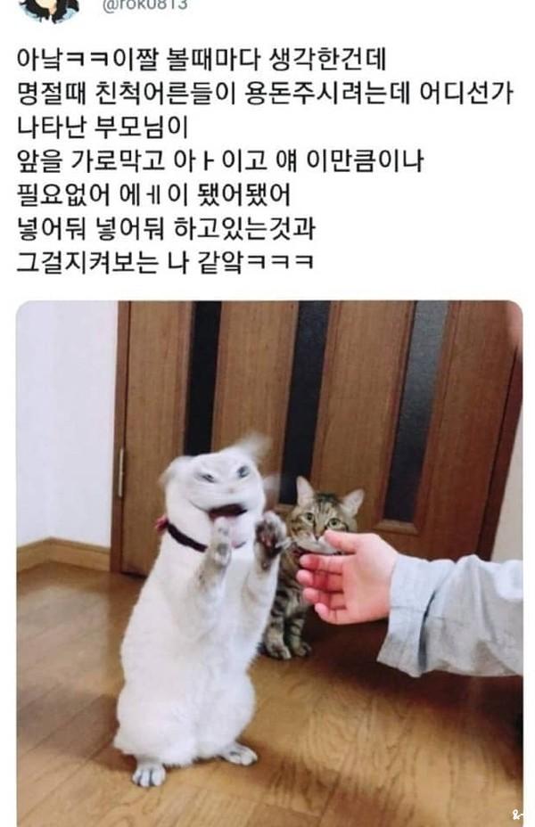 동물짤2개