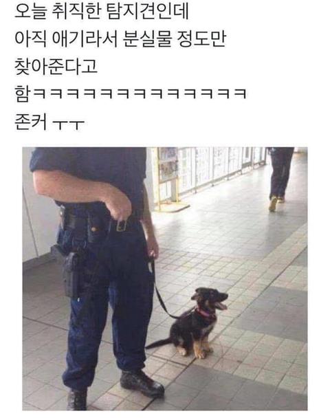 귀여워