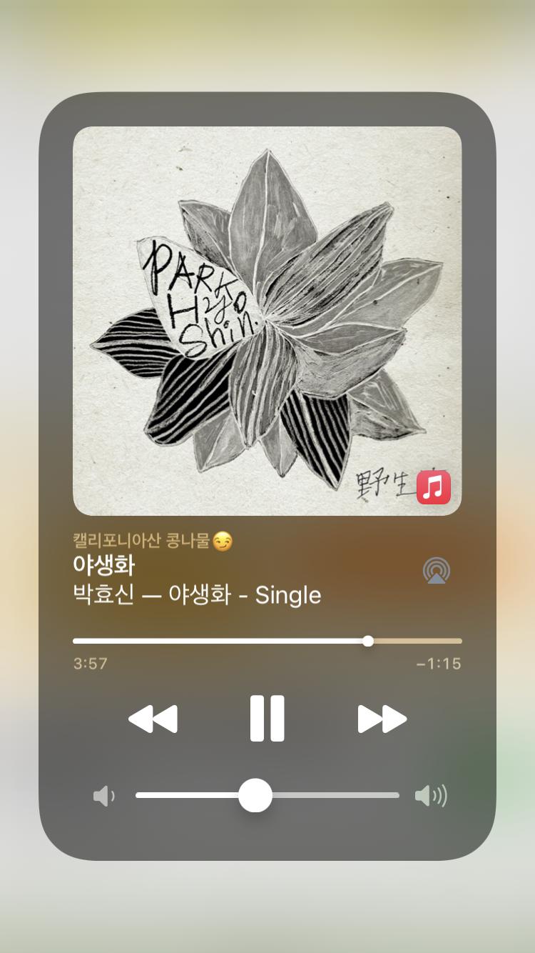 야생화 노래 좋아