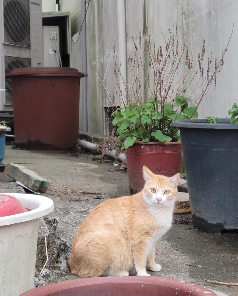 오늘두 만났당 기얌둥 고영~
