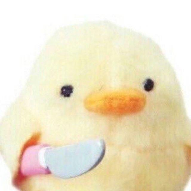 시험 마지막날^^^^ 과학/수학이라니... 불안하지만 잘보구 올게ㅎㅅㅎ 시험 다뒤졋어. (※밤을 새서 제정신이 아님...)