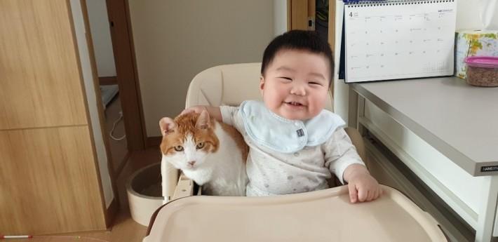 애기랑 고양이