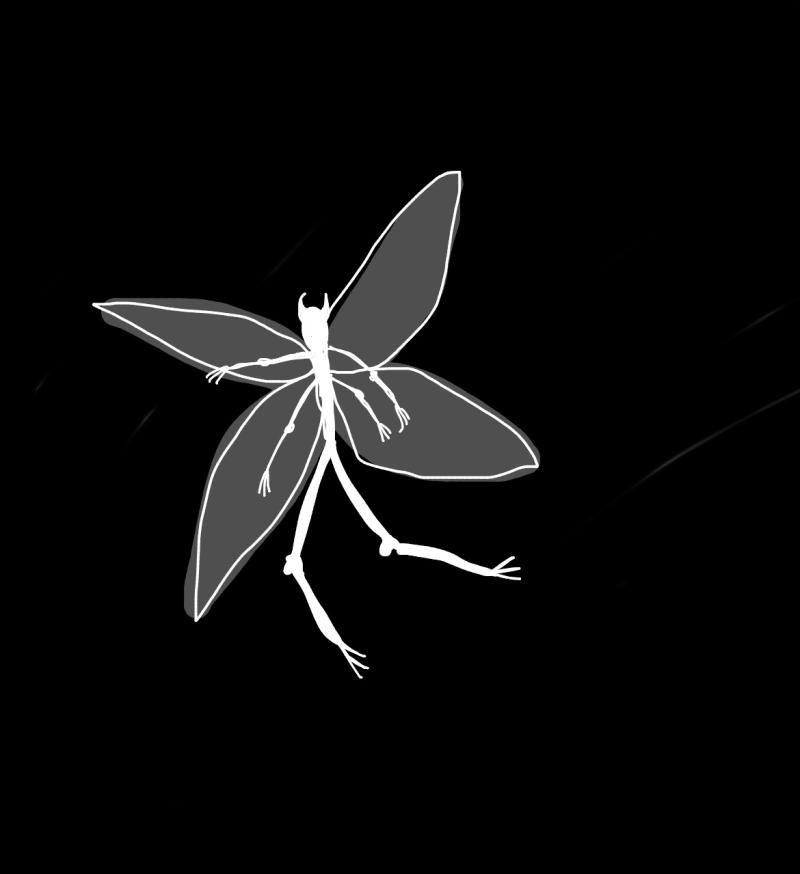 반투명한 흰색날개에 무늬있었고 뿔같은거 달려있었고 다 하얫믄데 일단 그 강남 썸잉 근처에서 봄 나 날파리도 무서워해서 날아들어서 헉;; 하고 놀