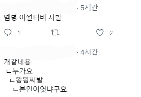 재수생 특: 치와와 상태임