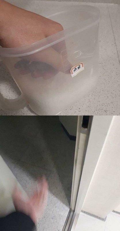 웃짤+유용한 소금짤