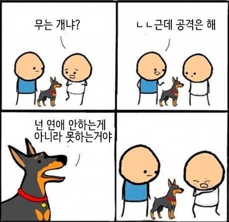 웃짤+유용한 소금짤