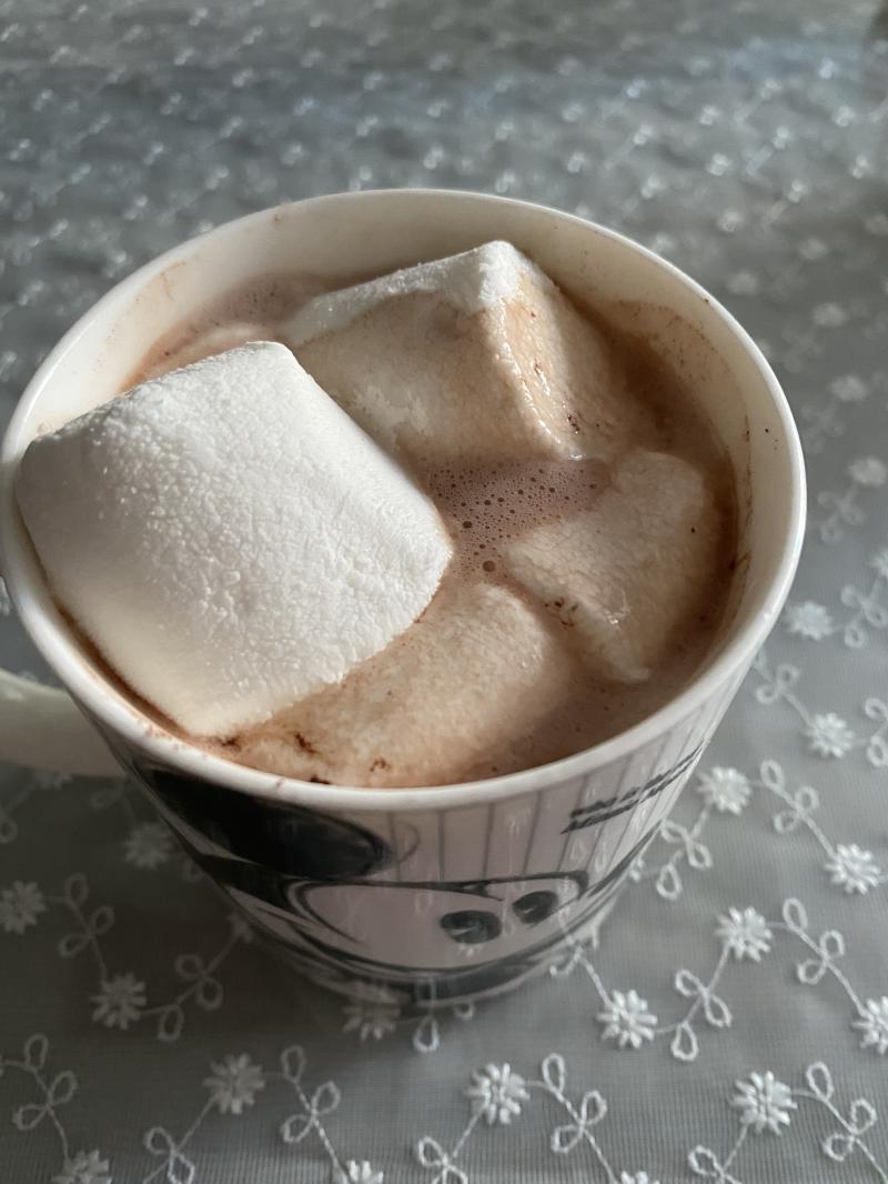 학 초코에 마시멜로