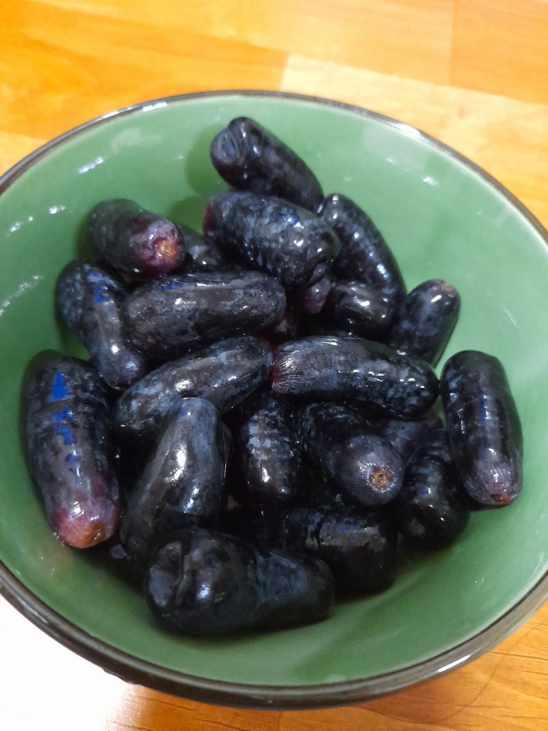 오늘 아침 핫케이크 먹고 저녁은 아빠가 가져온 롯데리아 핫 크리스피 버거 먹음 과일은 가지포도 이게 포도가 블랙 사파이어 포돈가 뭔가였는데 아빠