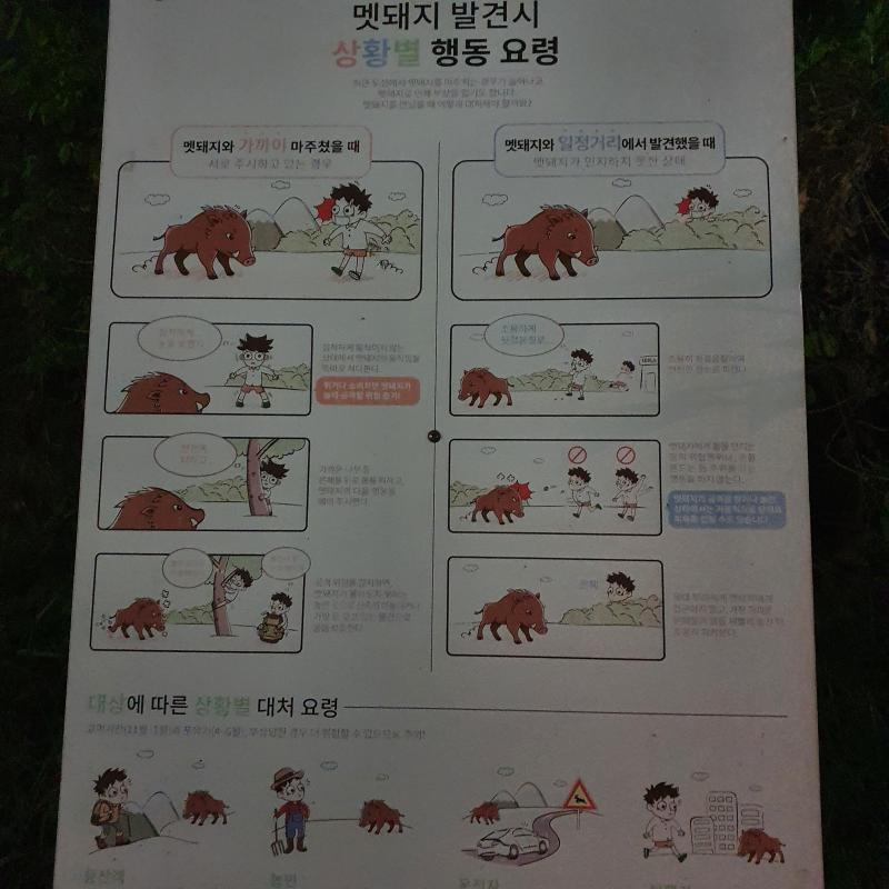 멧돼지가 나오나부다... 밝을 때 다시 와야겠다... 그보다 네이버지도가 집에서 공원까지 도보로 40분 걸린다고 그랬던 것 같은데 왜 두 배나