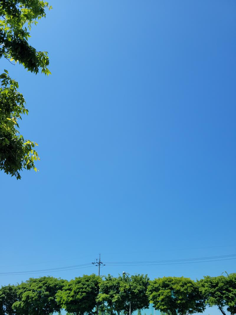 파란하늘