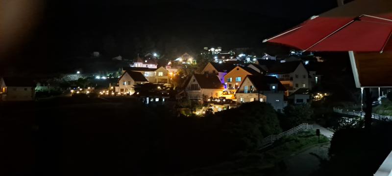 휴가 나왔다. 개같이 부활