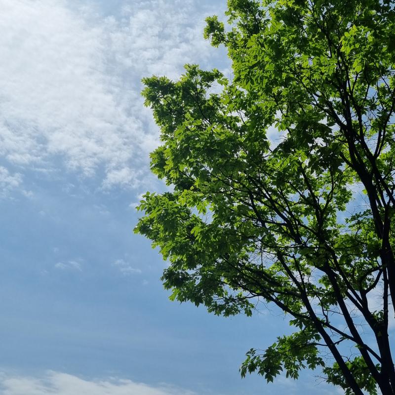 나 약간 응원의 레스 기대하고있어..ㅎㅎㅎ 이기적으로 보일수도 있겠지만 보고 힘낼수있게 도와줬음 좋을거같아ㅠㅜㅠ레더들도 이사진보고 힘났음 좋겠당