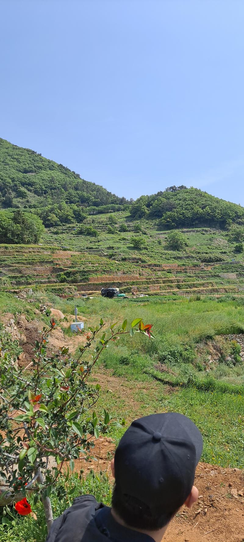 먼 산