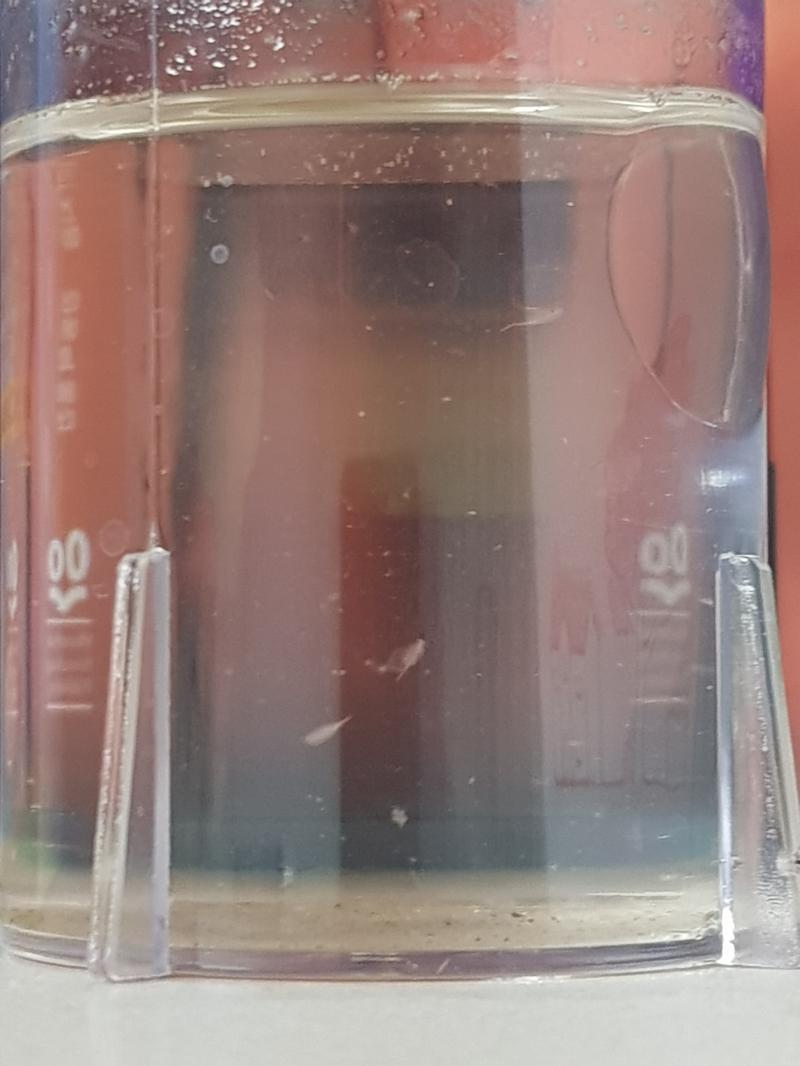 D+28 까먹어서... 세마리 남았다.
