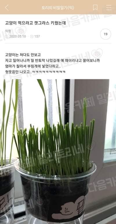 부침개행