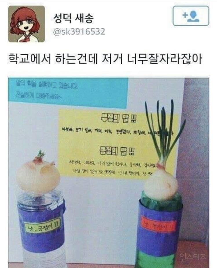원피스에 한창 빠져서