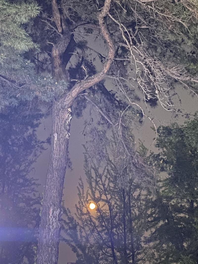 >>940 나 완전 동그랗고 밝아서 놀랐잖아..!!!!!🌕🌕🌕