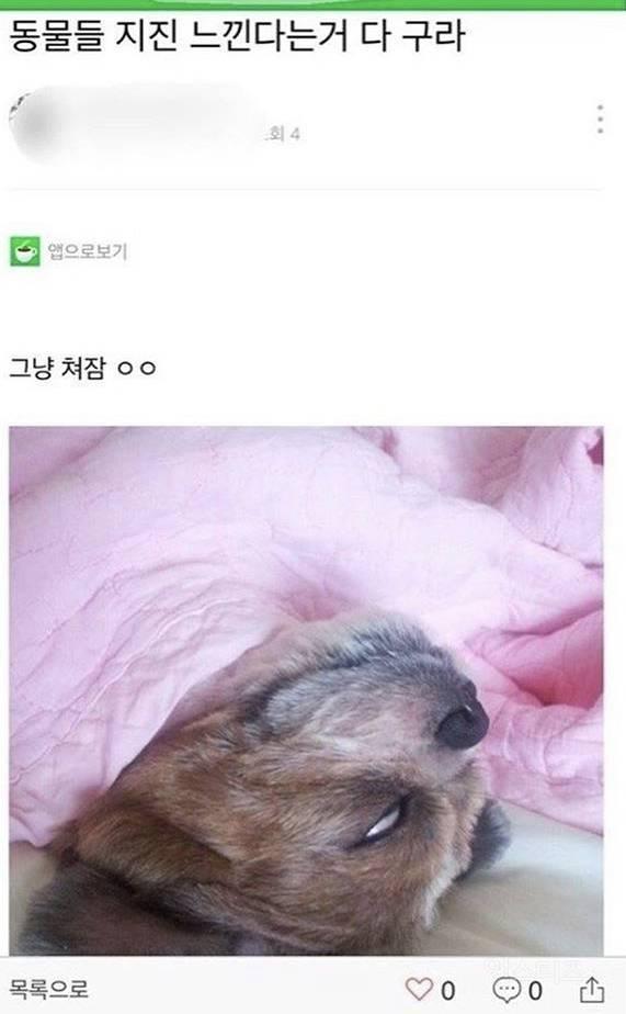 😄